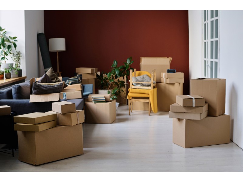 Habitación en proceso de mudanza, con muchas cajas de cartón apiladas por el suelo y sobre los muebles. En el fondo, un sofá azul y una silla amarilla, junto con algunas plantas y objetos parcialmente embalados