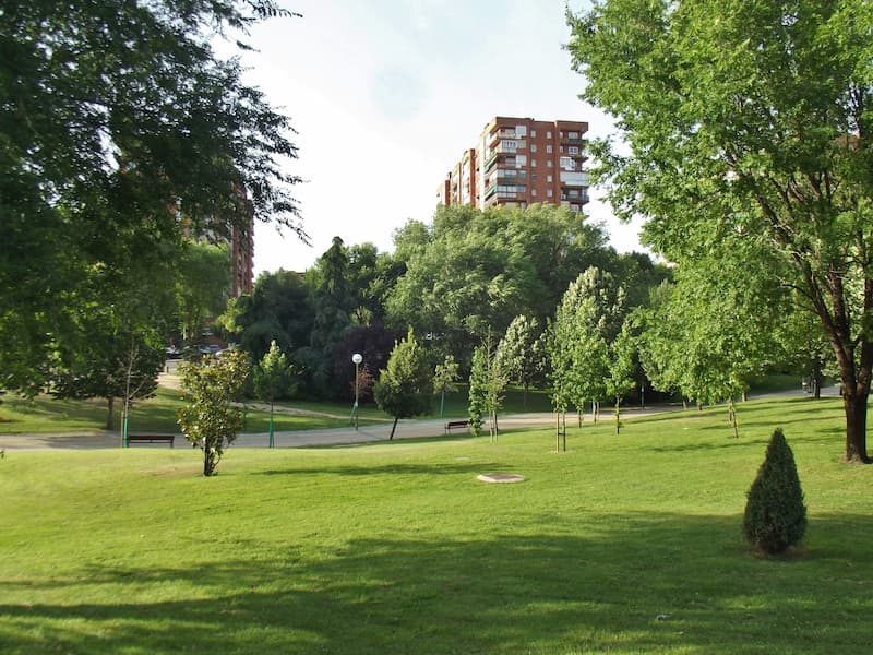Mudanzas en valdeacederas Madrid